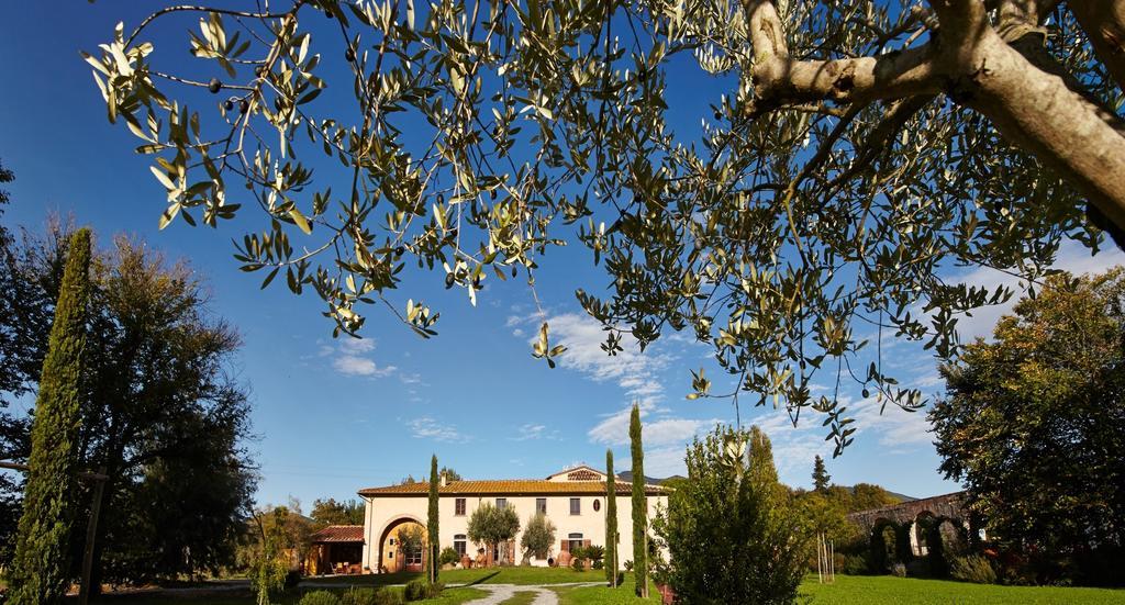 B&B Ai Condotti Di Pisa Da Filippo San Giuliano Terme Eksteriør billede