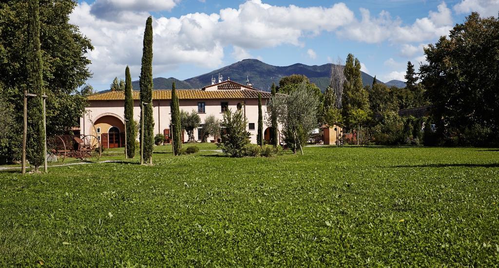 B&B Ai Condotti Di Pisa Da Filippo San Giuliano Terme Eksteriør billede
